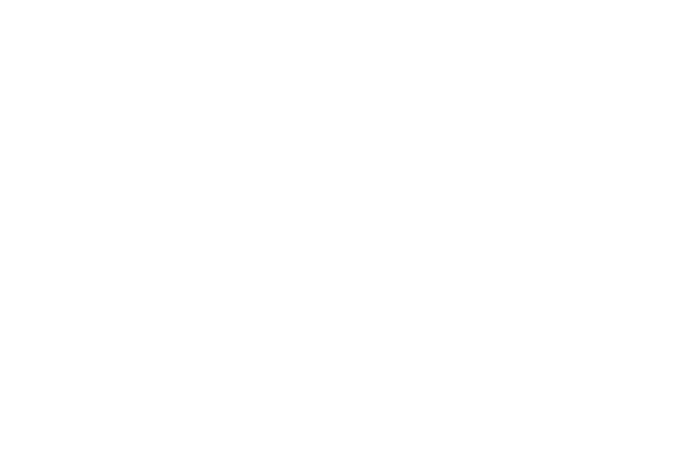 ornament services.png